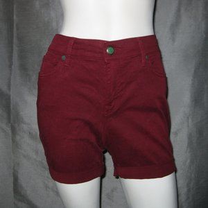 ANTHROPOLOGIE Level 99 | Lily Straight leg Denim Short